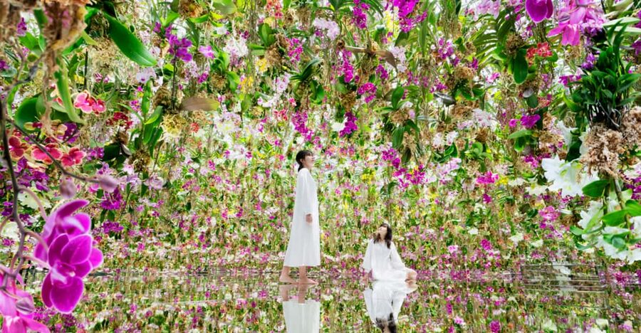 Tokyo: teamLab Planets TOKYO Digital Art Museum Entry Ticket - Navigating 10,000+ Square Meters Without Getting Lost