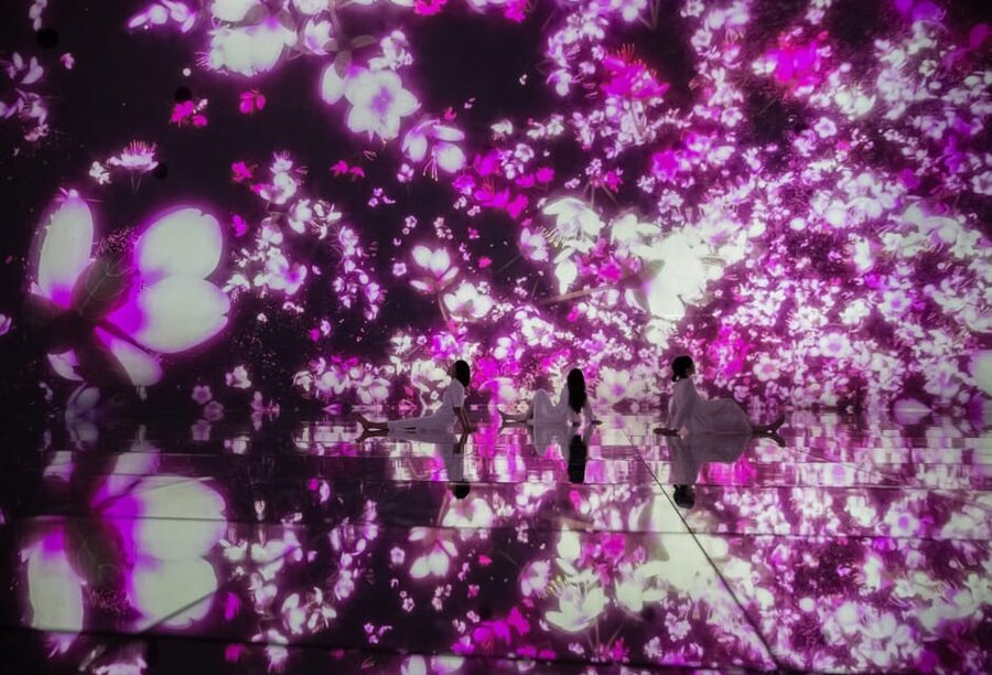 Tokyo: teamLab Planets TOKYO Digital Art Museum Entry Ticket - Water Gallery: The Room That Changes Your Body Rhythm