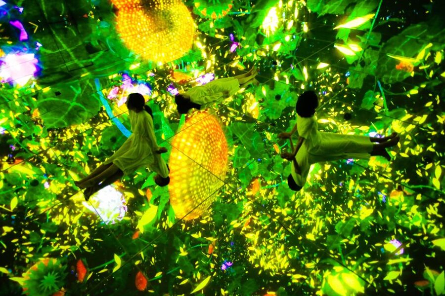 Tokyo: teamLab Planets TOKYO Digital Art Museum Entry Ticket - Crowd Energy and How the Staff Keep Things Moving