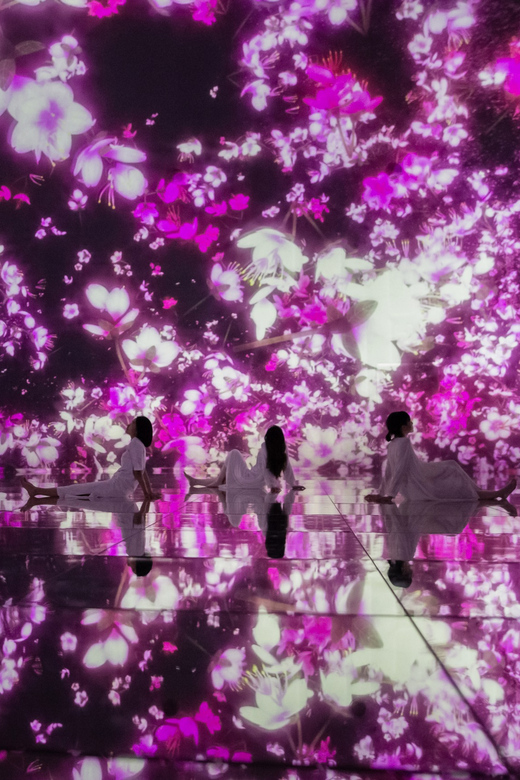 Tokyo: teamLab Planets TOKYO Digital Art Museum Entry Ticket - Is teamLab Planets Worth $25? Here’s How I’d Judge the Value