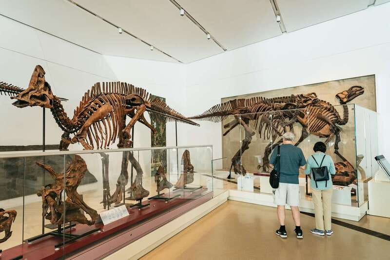 Toronto: Royal Ontario Museum Admission Ticket - Key Points You’ll Actually Care About