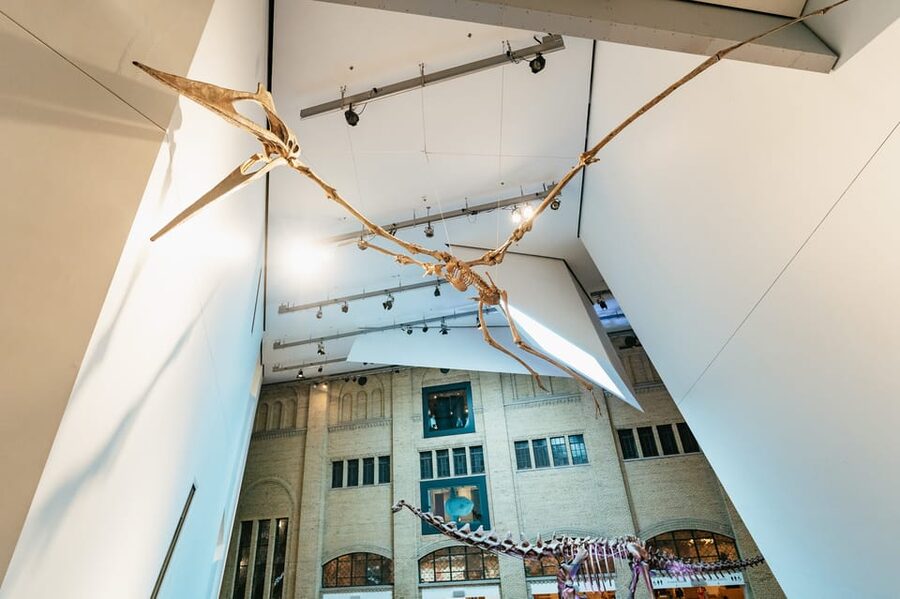 Toronto: Royal Ontario Museum Admission Ticket - Gems, Meteors, and That Wonder-Feeling