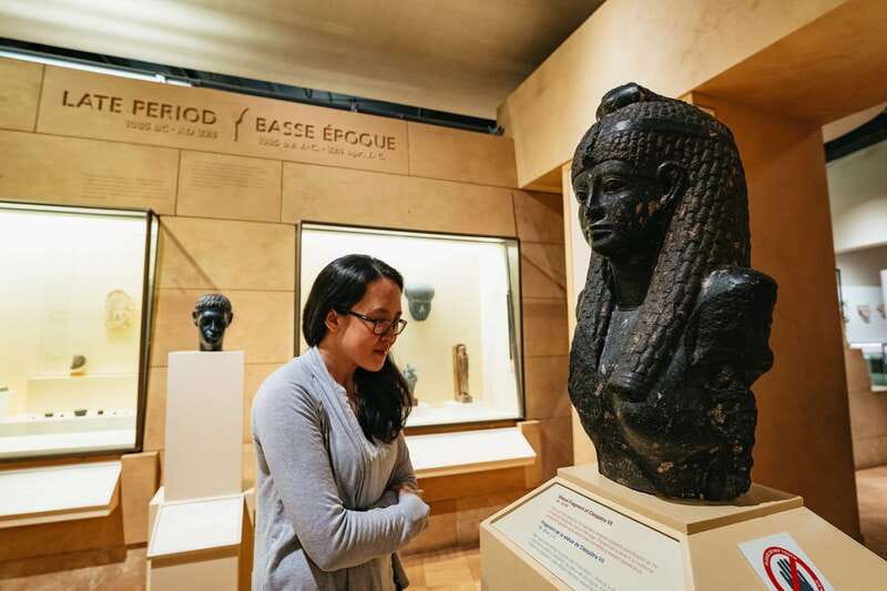 Toronto: Royal Ontario Museum Admission Ticket - Royal Ontario Museum Admission Ticket: What Your $19 Day Buys