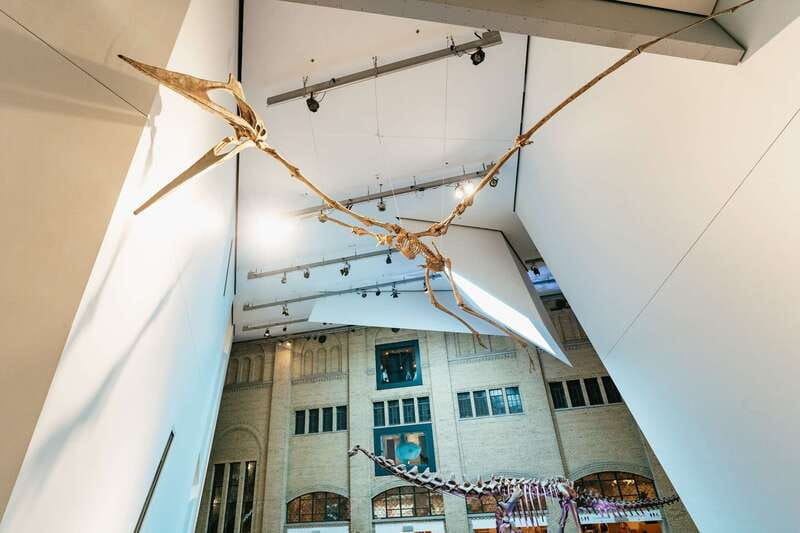 Toronto: Royal Ontario Museum Admission Ticket - The ROM’s Big Secret: It’s a Museum of Switching Times