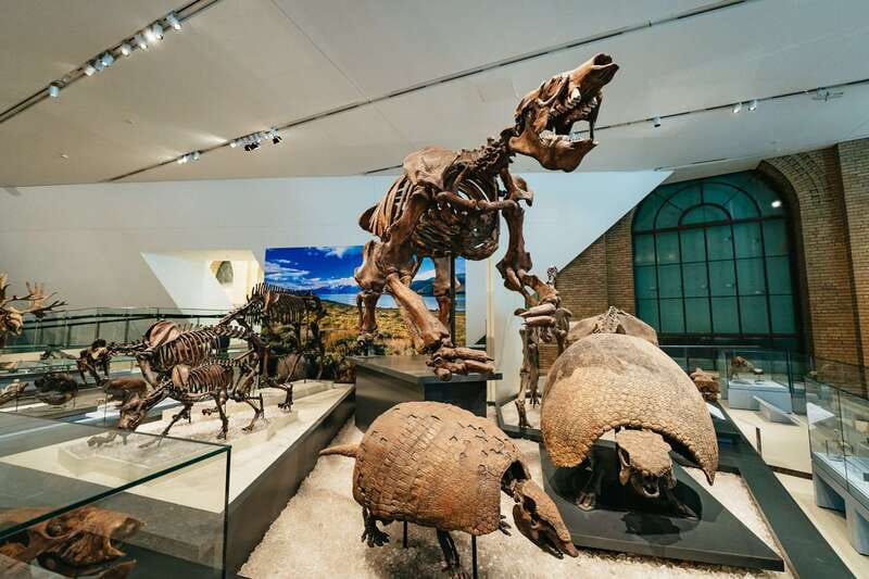 Toronto: Royal Ontario Museum Admission Ticket - Trace Life Back in Time With Burgess Shale Fossils