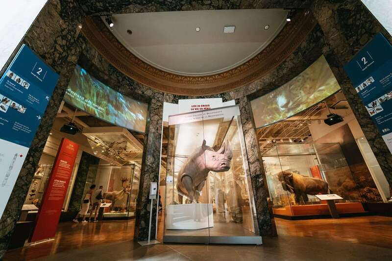 Toronto: Royal Ontario Museum Admission Ticket - World Cultures Highlights: Totem Poles, Chinese Temple Art, Egypt