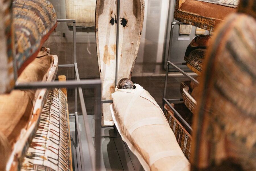 Turin: Egyptian Museum Priority Access Guided Tour - Logistics that actually affect your visit