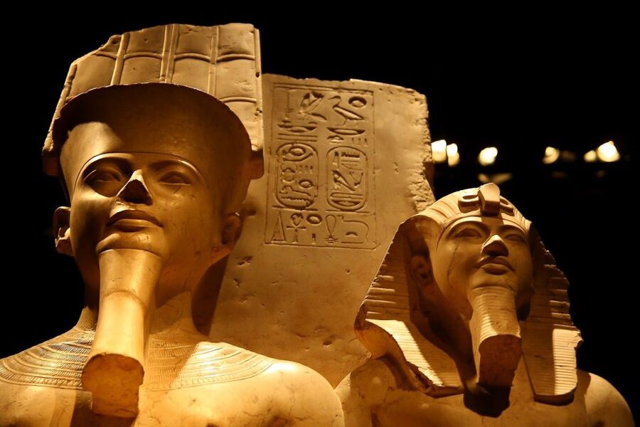 Turin: Egyptian Museum Skip-the-Line Private Guided Tour - Languages and Comfort: Getting the Tour You Want