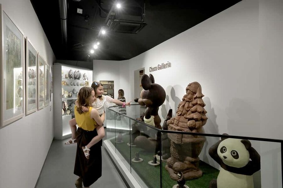 Turin: Visit to the Chocolate and Gianduja Museum, Choco-Story Torino - Key points to know before you go