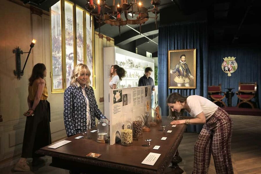 Turin: Visit to the Chocolate and Gianduja Museum, Choco-Story Torino - Watching chocolate being made: the factory walk and gianduiotti