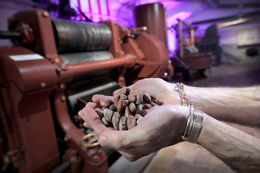 Turin: Visit to the Chocolate and Gianduja Museum, Choco-Story Torino - Who this is best for (families, dessert fans, and curious foodies)