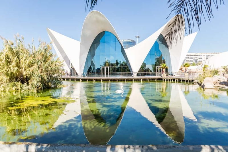 Valencia: Oceanogràfic, Hemisfèric & Science Museum Combo - Hemisfèric 3D cinema: architecture first, movie second