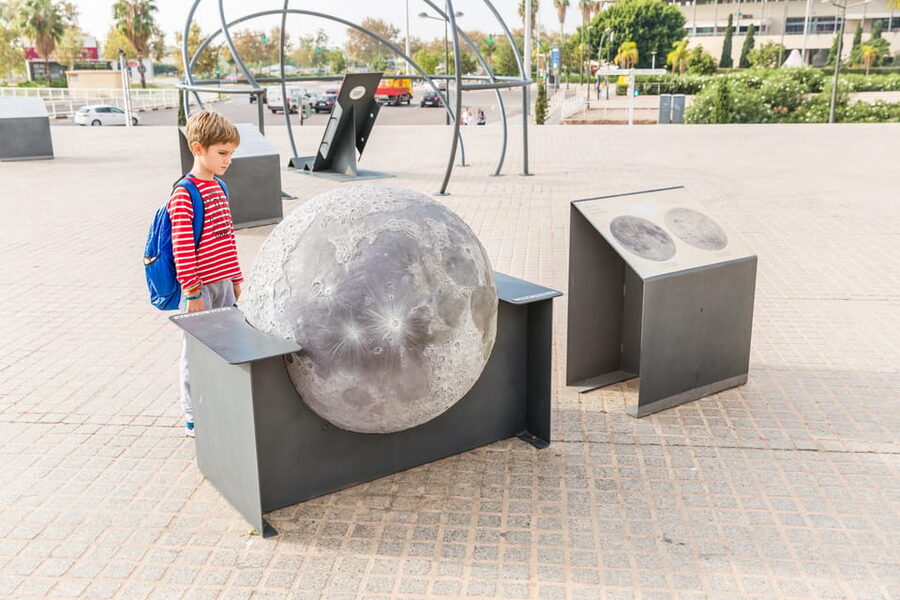 Valencia: Principe Felipe Science Museum Entry Ticket - Why this whale-skeleton museum makes science easy to like