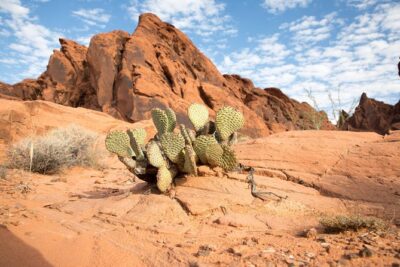 Valley of Fire and Lost City Museum Tour from Las Vegas - Stop 1: Valley of Fire State Park and how to get the best out of your time