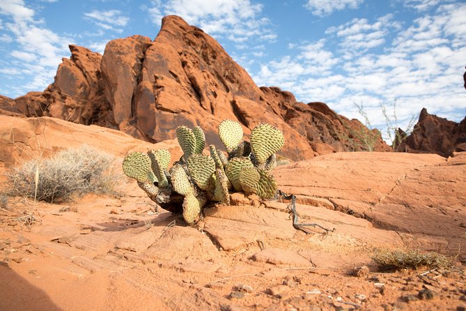Valley of Fire and Lost City Museum Tour from Las Vegas - Stop 1: Valley of Fire State Park and how to get the best out of your time