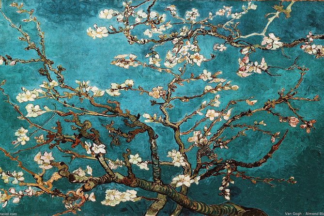 Van Gogh Museum Tour Reserved Entry Semi Private - Why the guide experience changes everything