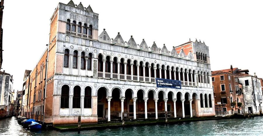 Venice: Natural History Museum Entry Ticket - The Sarchosuchus imperator skull: why it grabs attention
