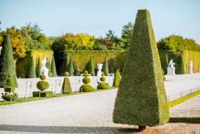 Versailles & Louvre Museum: All-Inclusive Semi Private Tour - Where the day starts: Versailles gates, Louis XIV, and a 9:00 start