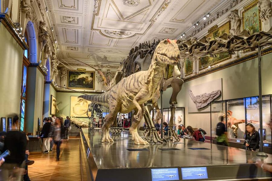 Vienna: Ticket to the Museum of Natural History - Ticket value: what $21 really buys you in Vienna