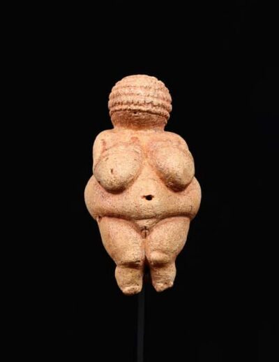 Vienna: Ticket to the Museum of Natural History - Start with the Venus Cabinet: two ancient icons in one room