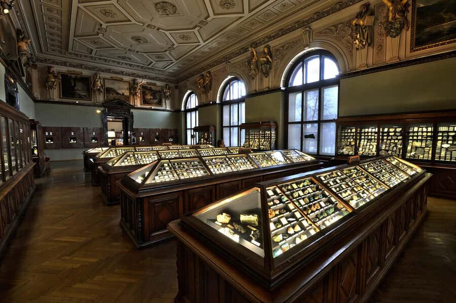 Vienna: Ticket to the Museum of Natural History - The upper floors: animal world displays you’ll want to slow down for