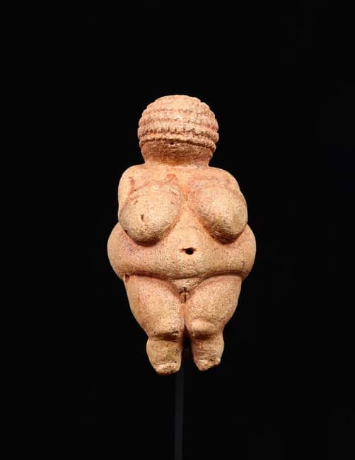 Vienna: Ticket to the Museum of Natural History - Start with the Venus Cabinet: two ancient icons in one room