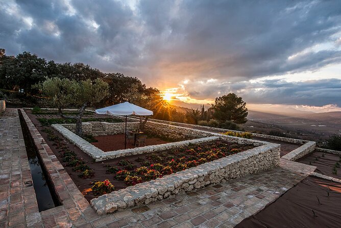 Visit Oil Mill Museum and Olive Oil Tasting in Ronda - The tasting experience: blind samples, bread, and vinegar