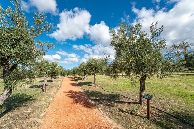 Visit Oil Mill Museum and Olive Oil Tasting in Ronda - Getting the timing right in a Ronda day