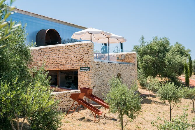 Visit Oil Mill Museum and Olive Oil Tasting in Ronda - Walking the olive groves and organic vineyards with art surprises