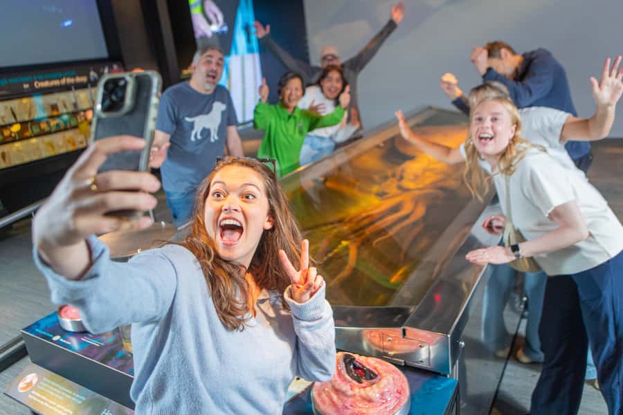 Wellington: Museum of NZ General Admission - Comfort, Rules, and On-Site Tips That Save Time