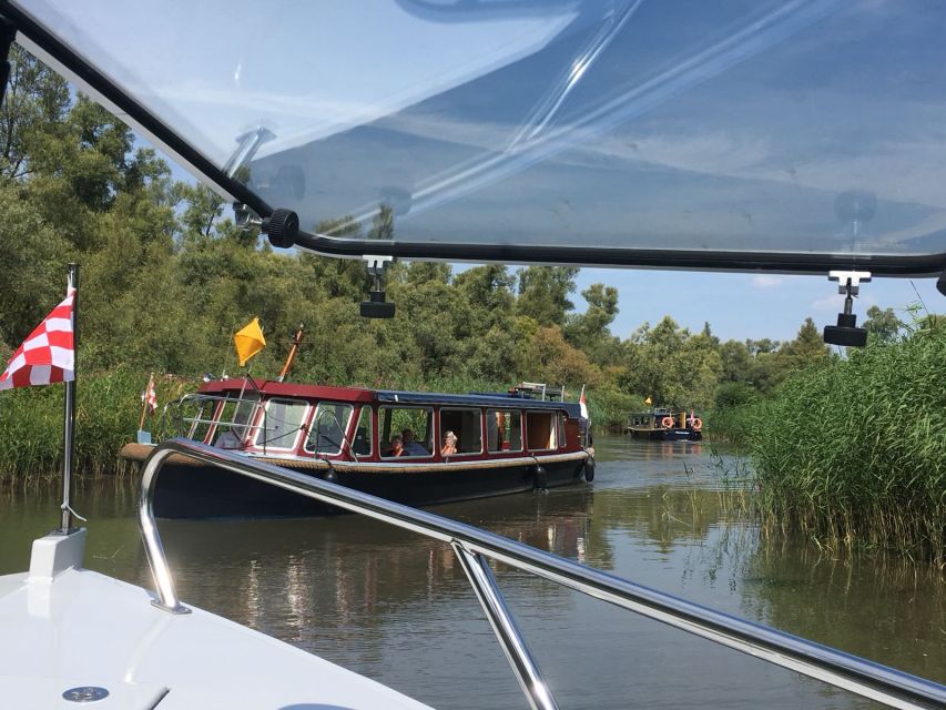 Werkendam: Boat Cruise and Biesbosch Museum Entry Ticket - Narrow trenches, wetland vegetation, and the “why” behind the views