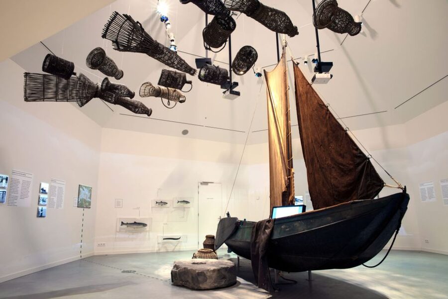 Werkendam: Boat Cruise and Biesbosch Museum Entry Ticket - The 75-minute whisper-boat cruise: what you’ll actually do