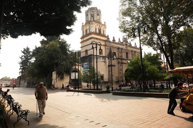Xochimilco, Coyoacan and Frida Kahlo with Optional Lunch - What guides can add to your experience (names you might recognize)