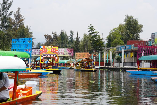 Xochimilco & Coyoacan with Frida Kahlo Private Tour - The Frida Kahlo Museum Choice: Blue House vs Red House