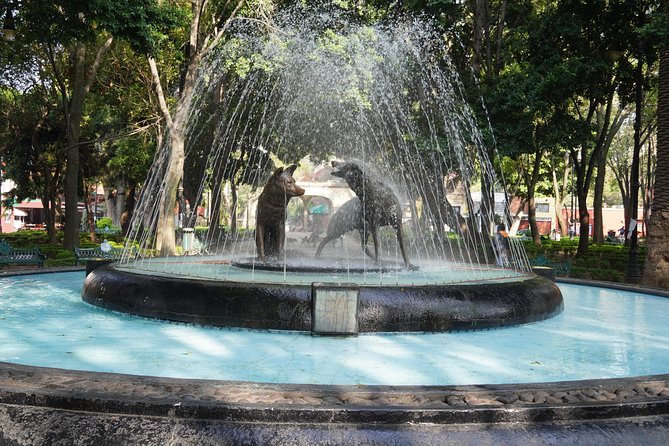 Xochimilco & Coyoacan with Frida Kahlo Private Tour - Getting the Most From a Private Guide (Names to Watch For)